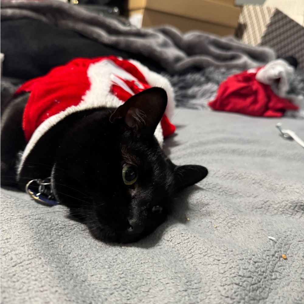 Meet your Posher, Brianna